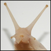 Benutzeravatar