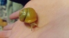 Benutzeravatar