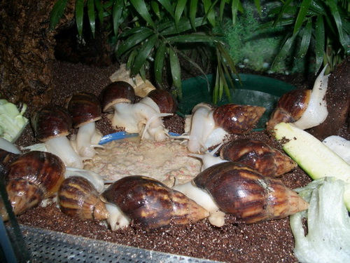 CIMG0024.jpg