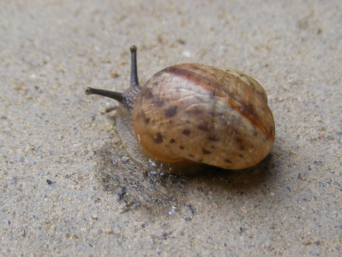 DSCF18780.jpg