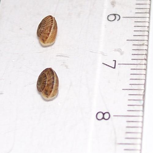 Ruc & Ola 03.JPG