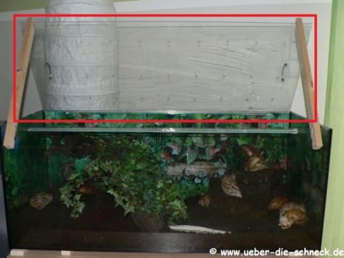 terrarien 03.jpg