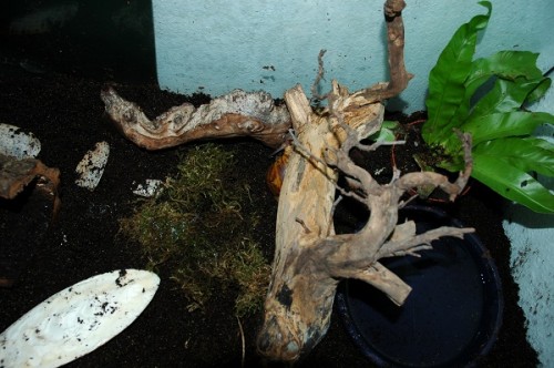 TerrariumRechts.jpg