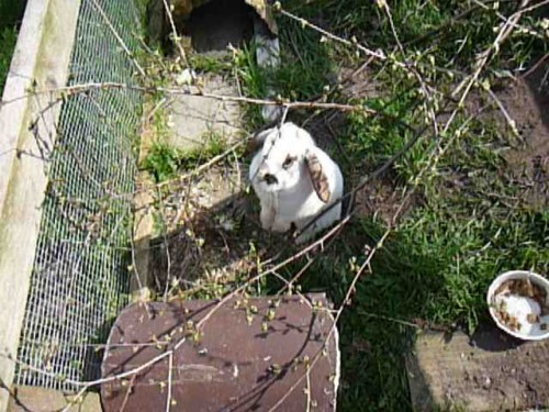 Bilder 2009 009.jpg