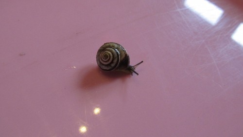 Slow.JPG