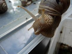 Bilder 2009 2261.jpg