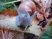 Bilder 2009 3379.jpg