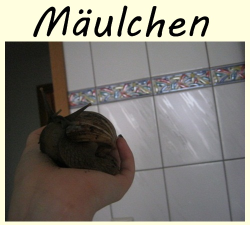 Mäulchenfoto.jpg