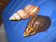 IMG_1169.JPG