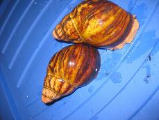 IMG_1170.JPG