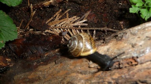 Bilder 2009 4318.jpg