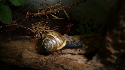 Bilder 2009 4326.jpg