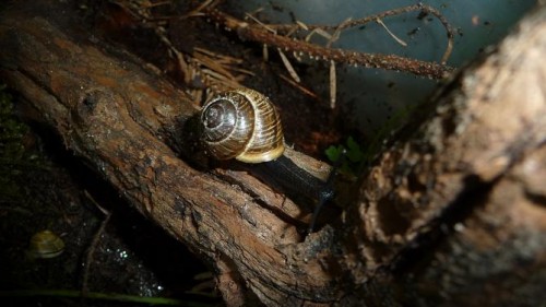 Bilder 2009 4328.jpg