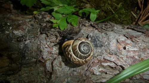 Bilder 2009 4329.jpg