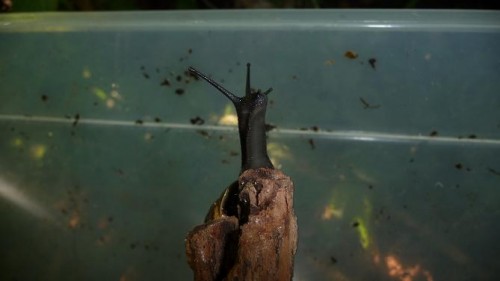 Bilder 2009 4344.jpg