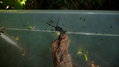 Bilder 2009 4346.jpg