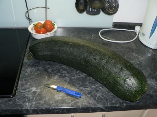 zucchini.jpg