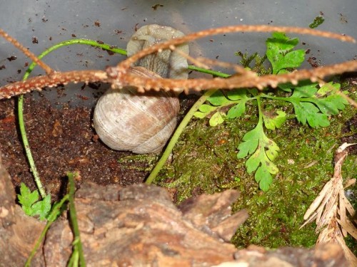 Bilder 2009 4683.jpg