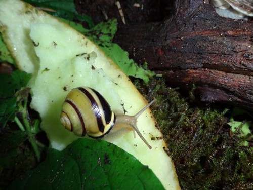 Bilder 2009 4689.jpg