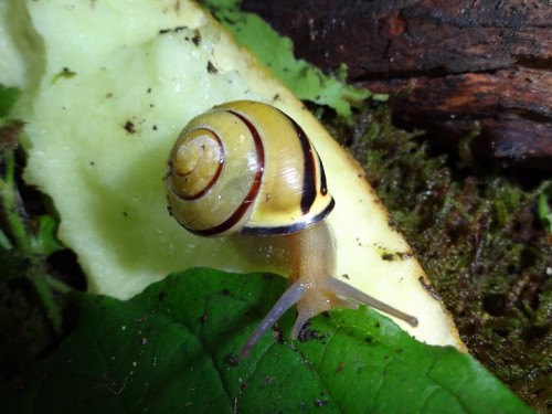 Bilder 2009 4691.jpg