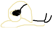 schnecke.png