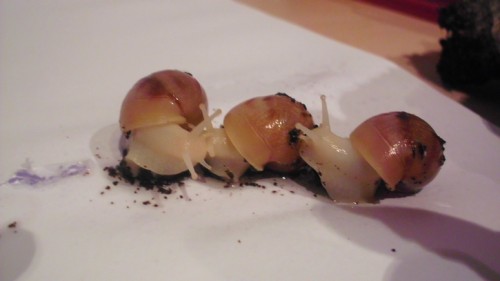 b3.jpg