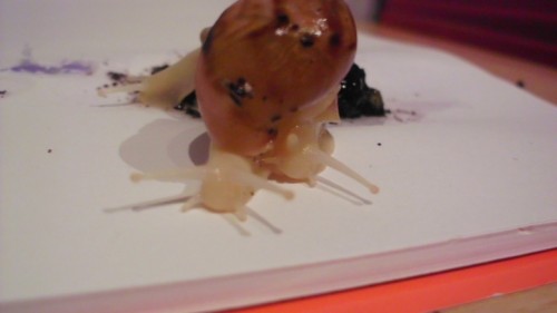 b5.jpg