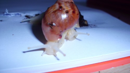 b6.jpg