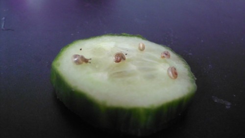 j5.jpg