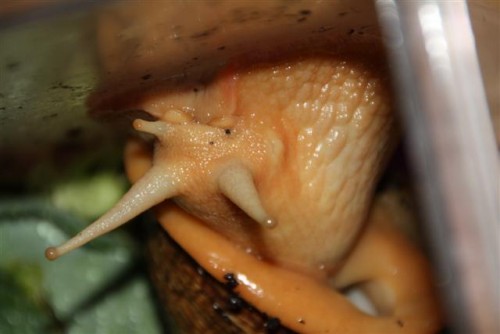 IMG_4582 (Small).JPG