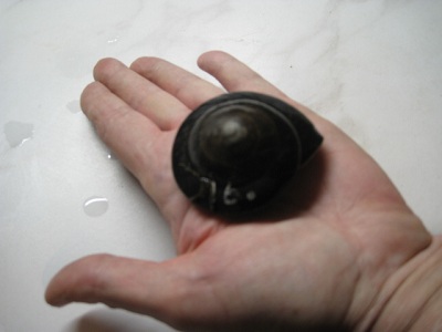exellence 011.jpg