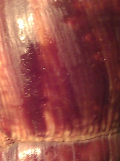 k-WP_000578.jpg