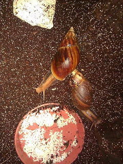 k-WP_000591.jpg