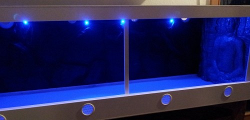 20120208_175551klein.jpg