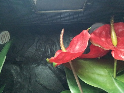 20120210_172847klein.jpg