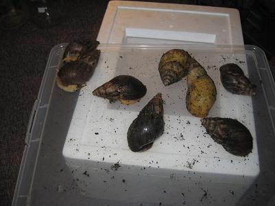 IMG_1286.JPG