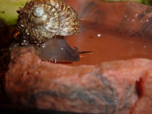 K800_märz 2012 042.JPG