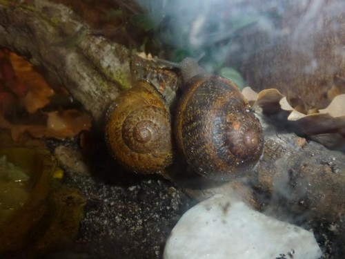 K800_märz 2012 057.JPG