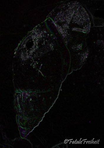 PTDC0594_bearb_klein.jpg