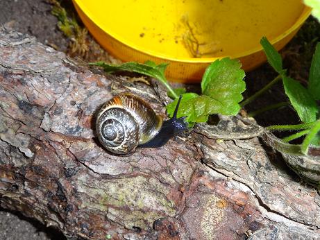 Bilder 2009 5126.jpg