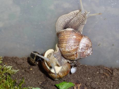 Bilder 2009 5128.jpg