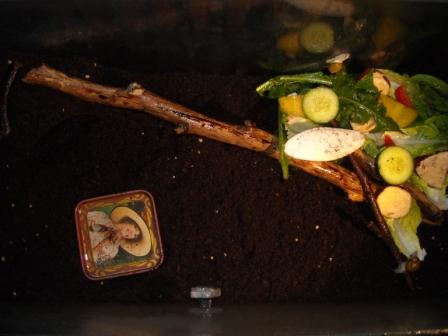 schneggi060512 029.jpg