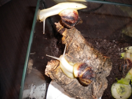 DSCN2920.jpg