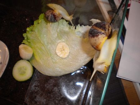 DSCN2958.jpg