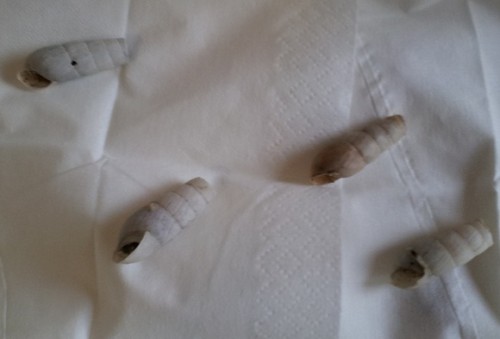 20120628_082329klein.jpg
