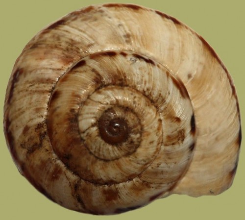 04a.jpg