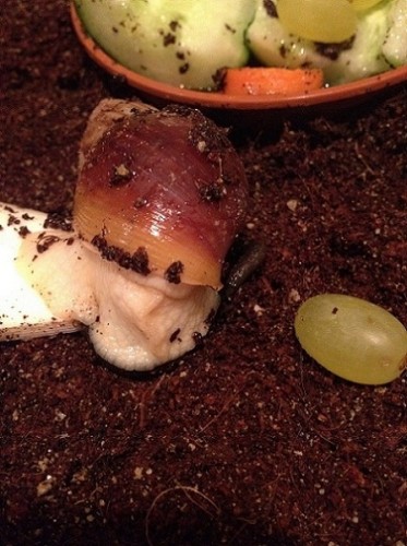 Foto 15.09.12 20 55 47klein.jpg