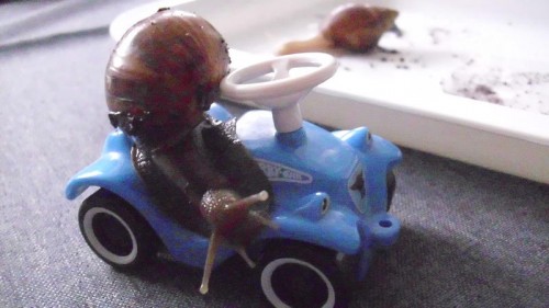 bobby car schnecke.jpg