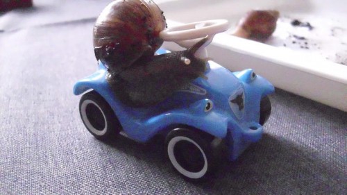 bobby car schnecke no 2.jpg