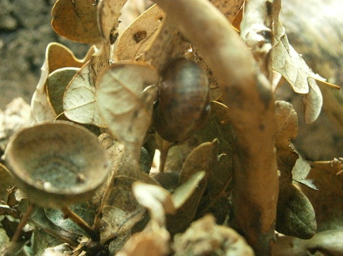 PA170517.jpg